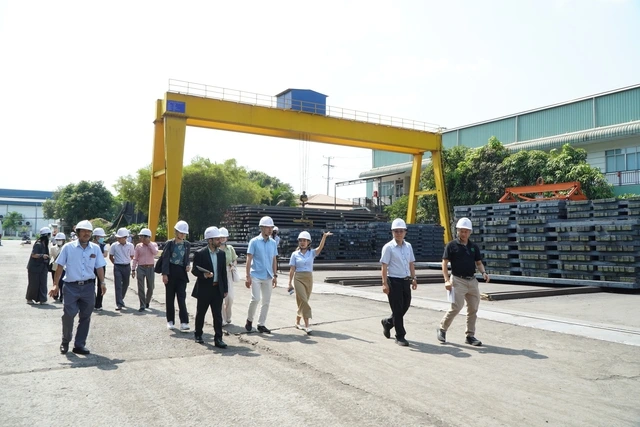 Chuyên gia Việt Nam và Đan Mạch thúc đẩy năng lượng hiệu quả và tiết kiệm - Ảnh 1