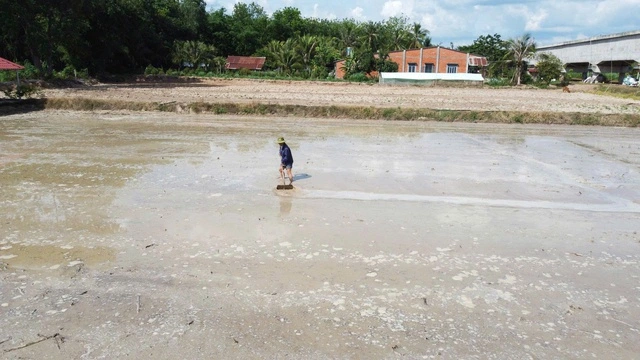 Nông dân gặp khó vì giá lúa thấp, giá phân bón tăng cao - Ảnh 2