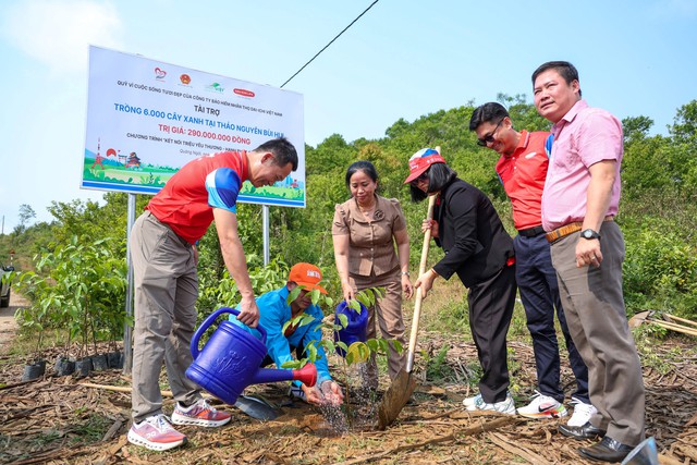 Dai-ichi Life Việt Nam trồng 6.000 cây xanh tại thảo nguyên Bùi Hui, tỉnh Quảng Ngãi - Ảnh 2