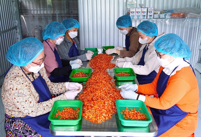 Xã Hồ Thị Kỷ chuyển hướng sản xuất nông nghiệp thích ứng biến đổi khí hậu - Ảnh 3