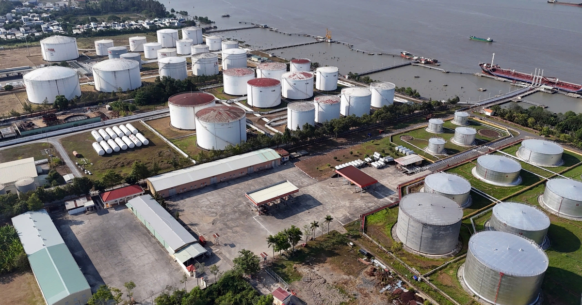 Xử phạt 3 doanh nghiệp đầu mối xăng dầu, 5 doanh nghiệp khác đang vào 'tầm ngắm'