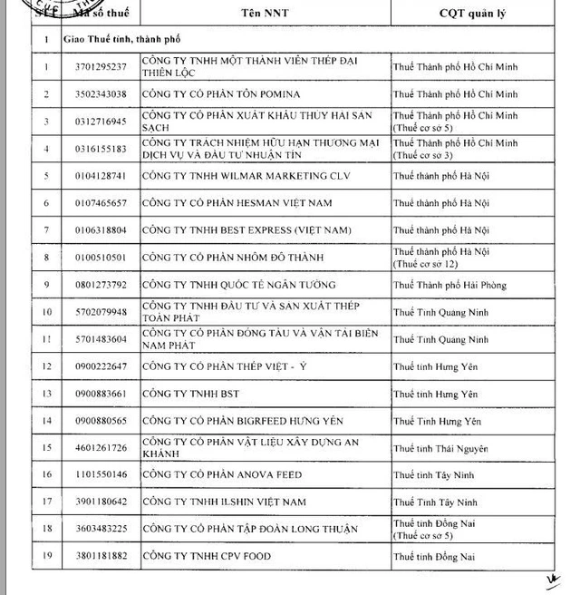 Kiểm tra thuế tại trụ sở đối với 19 'ông lớn' ngành thép, thủy sản... - Ảnh 2