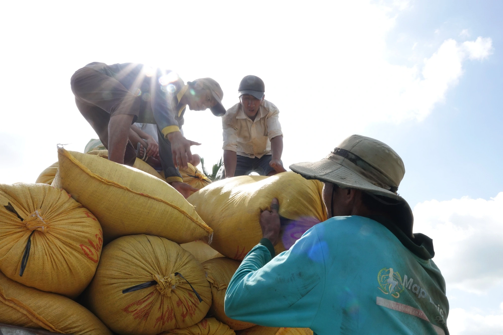 Philippines điều tra tự vệ, gạo Việt có bị ảnh hưởng? - Ảnh 2