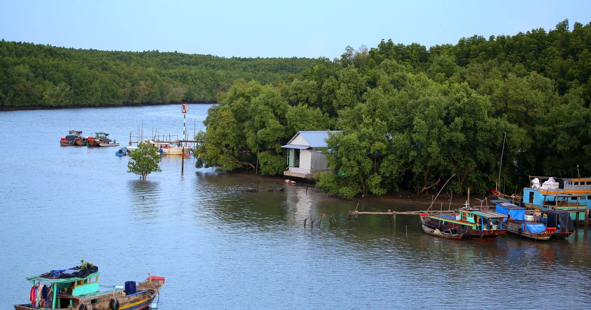Vingroup đề xuất mở rộng gần gấp đôi đường Rừng Sác đi Cần Giờ