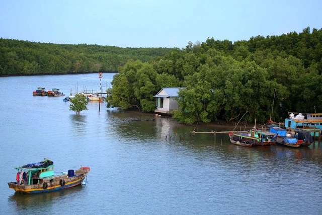 Vingroup đề xuất mở rộng gần gấp đôi đường Rừng Sác đi Cần Giờ - Ảnh 1