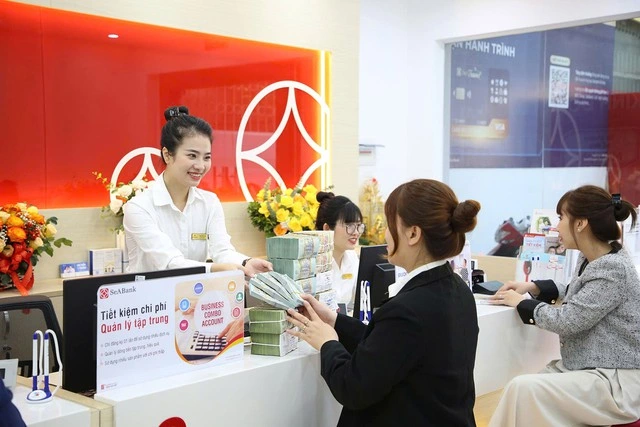 SeABank dự kiến chia cổ tức 20,5%, đặt mục tiêu lợi nhuận 7.068 tỉ đồng - Ảnh 1