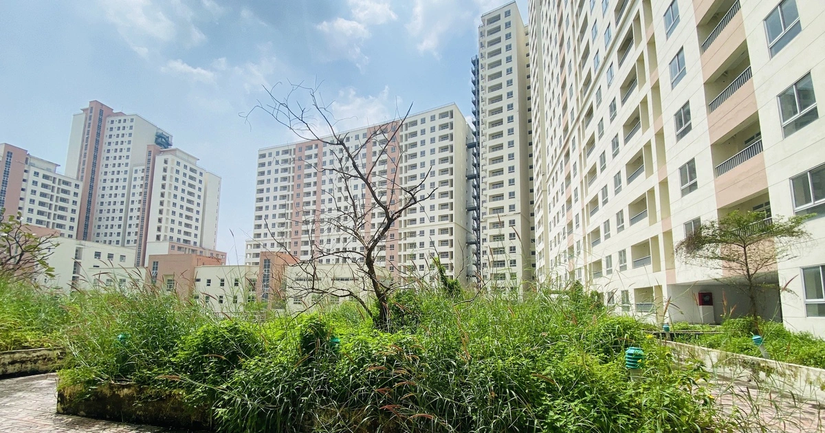 Để tránh lãng phí, nhà đất tái định cư bỏ hoang sẽ bị 'thu hồi'