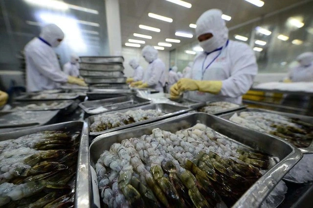 Thủy sản xuất khẩu gặp khó - Ảnh 2