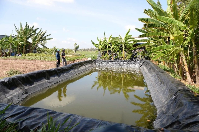 Đồng Tháp chuẩn bị xây 3 hồ trữ nước ngọt quy mô lớn - Ảnh 1