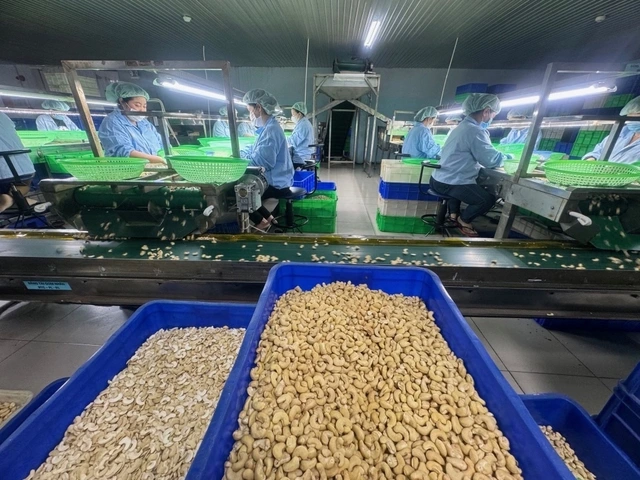 Trung Quốc, thị trường tiêu thụ lớn của Việt Nam - Ảnh 3