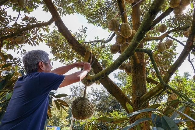 Trung Quốc, thị trường tiêu thụ lớn của Việt Nam - Ảnh 1