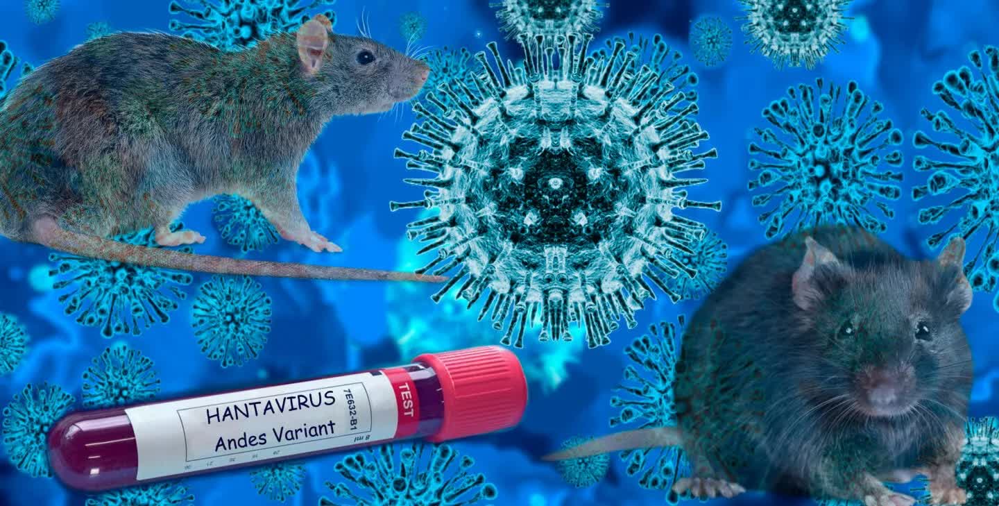 Toàn cảnh hành trình trên du thuyền mang virus Hanta khiến cả thế giới lo ngại: Hơn 1 tháng “nín thở” và tình hình hiện tại - Ảnh 3