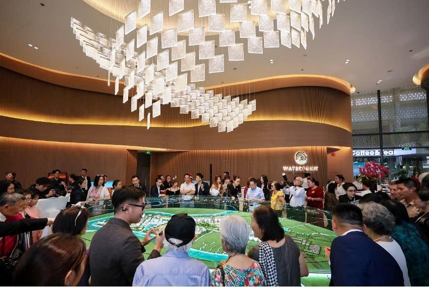 Bất động sản đô thị giá hợp lý “khuấy động” thị trường phía Tây TP. Hồ Chí Minh - Ảnh 2