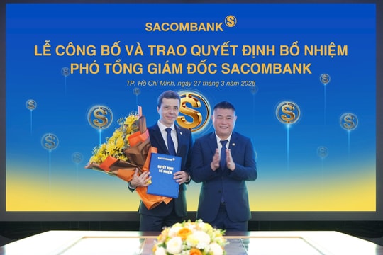 VIB điều chuyển CFO Hồ Vân Long sang vị trí chiến lược cấp cao - Ảnh 6