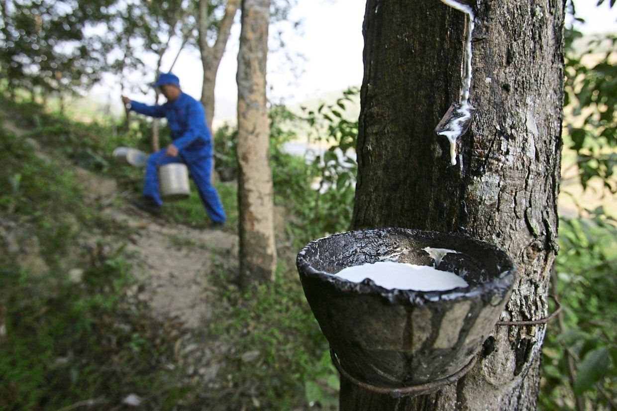 Một nguyên liệu thiết yếu cho ngành ô tô bất ngờ tăng giá mạnh nhất 8 năm: Việt Nam đứng thứ 3 thế giới về sản lượng nhưng chưa phải quốc gia hưởng lợi nhất - Ảnh 1