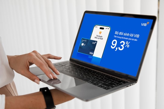 VIB điều chuyển CFO Hồ Vân Long sang vị trí chiến lược cấp cao - Ảnh 26