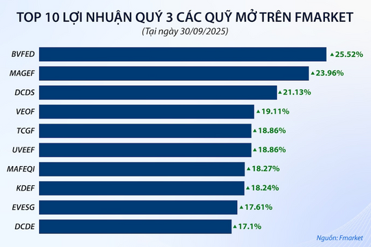 VIB điều chuyển CFO Hồ Vân Long sang vị trí chiến lược cấp cao - Ảnh 24