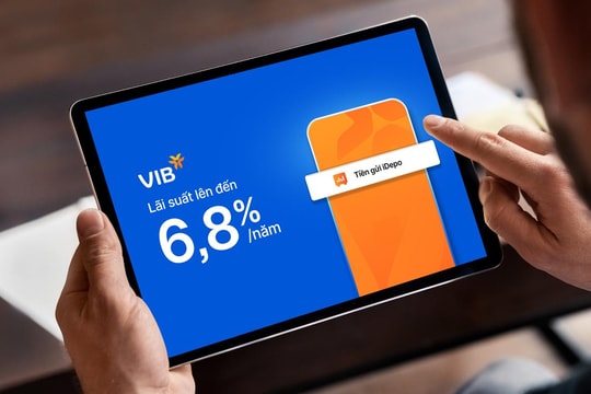 VIB điều chuyển CFO Hồ Vân Long sang vị trí chiến lược cấp cao - Ảnh 18