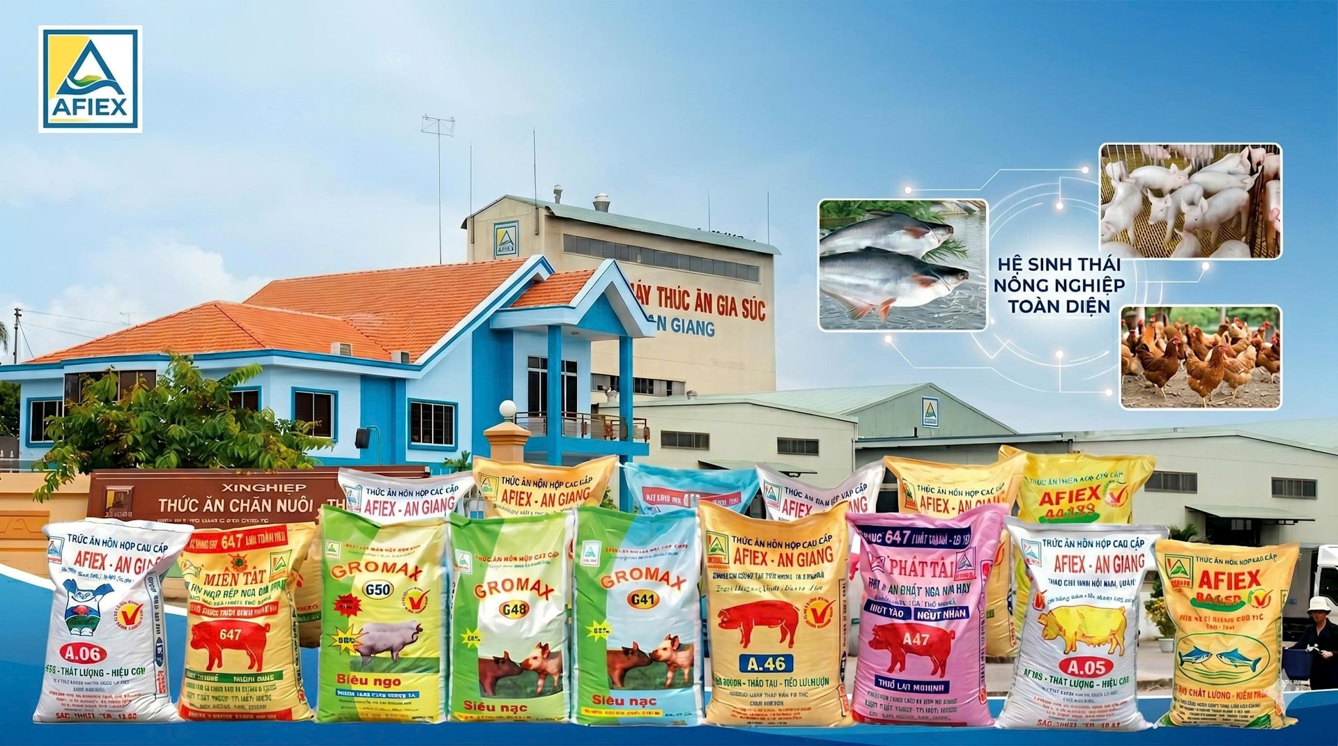 Lợi nhuận quý 1/2026 gấp 3,9 lần cùng kỳ: Từ xuất khẩu truyền thống đến cuộc chơi giá trị cao của Afiex - Ảnh 1