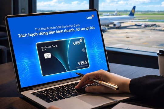 VIB điều chuyển CFO Hồ Vân Long sang vị trí chiến lược cấp cao - Ảnh 9