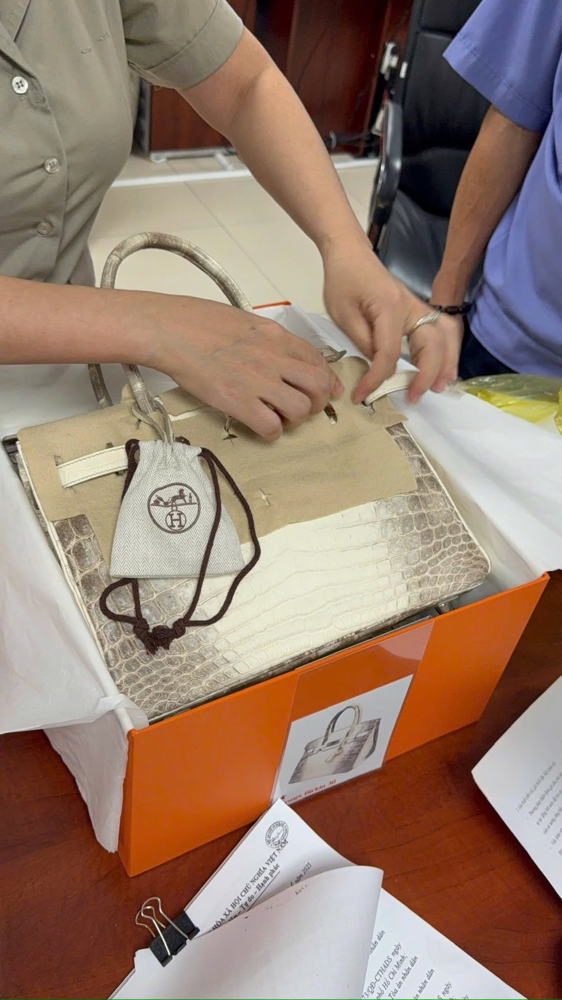 Cận cảnh 2 chiếc túi Hermes bạch tạng của bà Trương Mỹ Lan được đưa ra đấu giá - Ảnh 2