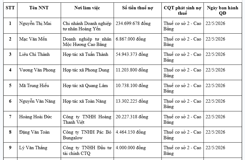 Cơ quan thuế thông báo: Những người có tên trong danh sách sau bị tạm hoãn xuất cảnh - Ảnh 1