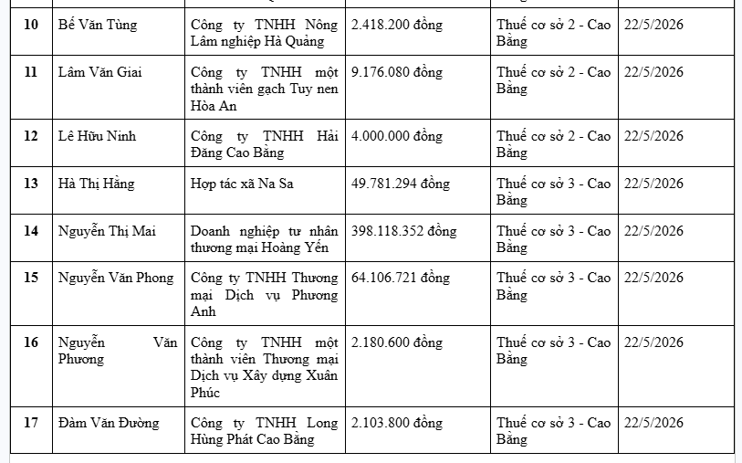 Cơ quan thuế thông báo: Những người có tên trong danh sách sau bị tạm hoãn xuất cảnh - Ảnh 2