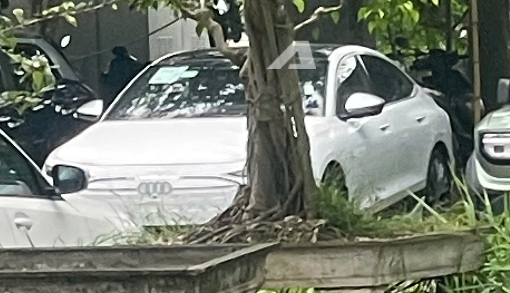 Loạt xe mới dự kiến ra mắt tháng 5: Ranger thêm bản mới đấu Hilux, xe điện cho dân thích lái, không loại trừ một mẫu xe hot này - Ảnh 5
