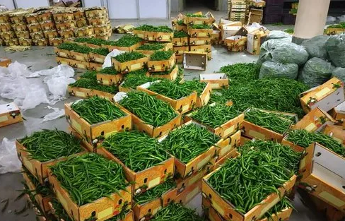 Việt Nam đón tin vui từ châu Á - Ảnh 1