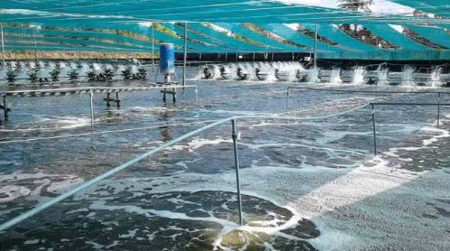 Không phải đất hiếm hay sầu riêng, một mỏ vàng của Việt Nam vừa mang về 1,5 tỷ USD: Mỹ, Trung Quốc đều là ‘khách ruột’, nước ta xuất khẩu đứng thứ 3 thế giới - Ảnh 1