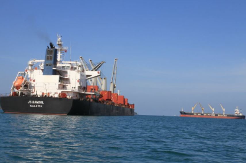 Việt Nam vừa đón tin vui từ Israel - Ảnh 1