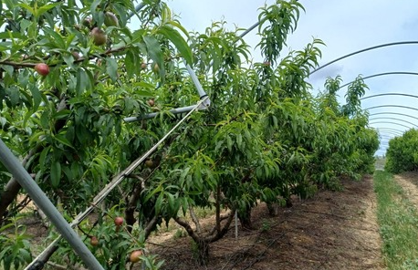Không phải dầu thô, một mặt hàng của Iran đang gặp khó do xung đột: Mỗi lô hàng lỗ 50%, Ấn Độ bị ‘vạ lây’ - Ảnh 1