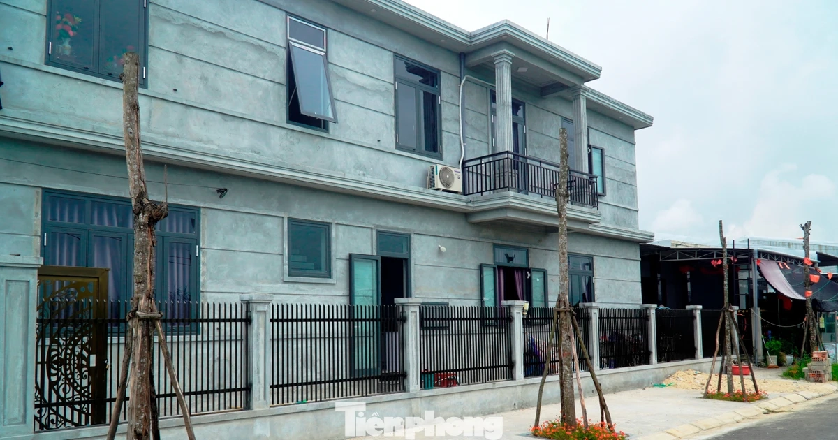 Bỏ mặc cây xanh thành 'củi khô' hàng loạt giữa khu định cư mới