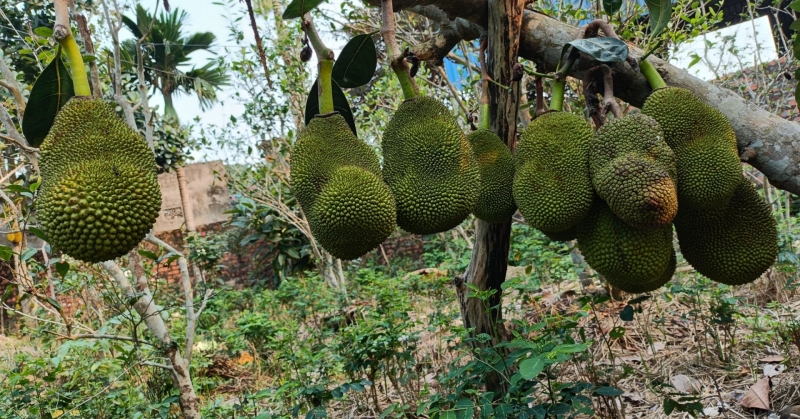 Giá điện nhà trọ: Không phải chủ nhà muốn thu bao nhiêu cũng được, thu sai sẽ bị phạt - Ảnh 5