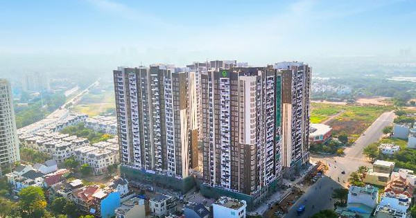 Linh động 'gỡ vướng' để cấp nhanh giấy chứng nhận quyền sử dụng đất - Ảnh 5