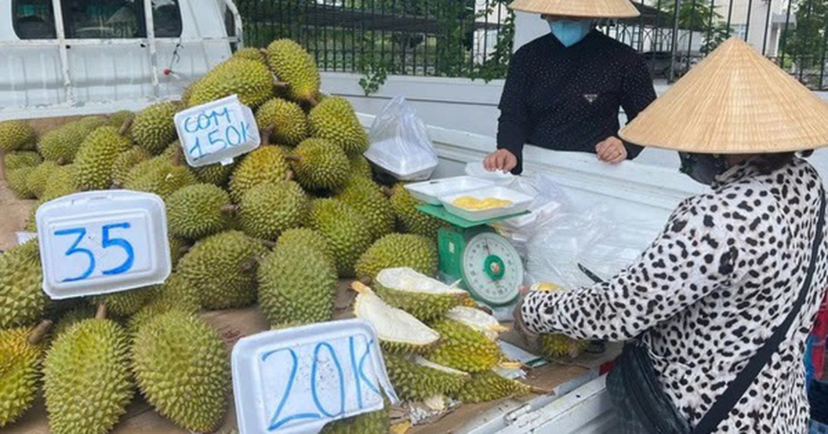 Doanh nghiệp và người trồng sầu riêng "đứng ngồi không yên"