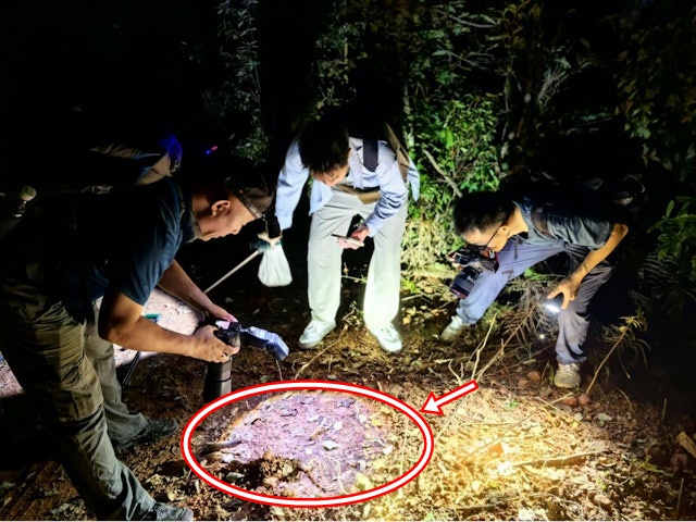 Anh, Tây Ban Nha phát hiện ca nhiễm hantavirus mới - Ảnh 5