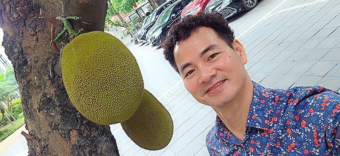 Loại quả bán đầy chợ Việt sang Mỹ thành hàng đắt đỏ: Có nơi giá chạm mốc 700.000 đồng/kg, ai cũng ngỡ ngàng - Ảnh 4