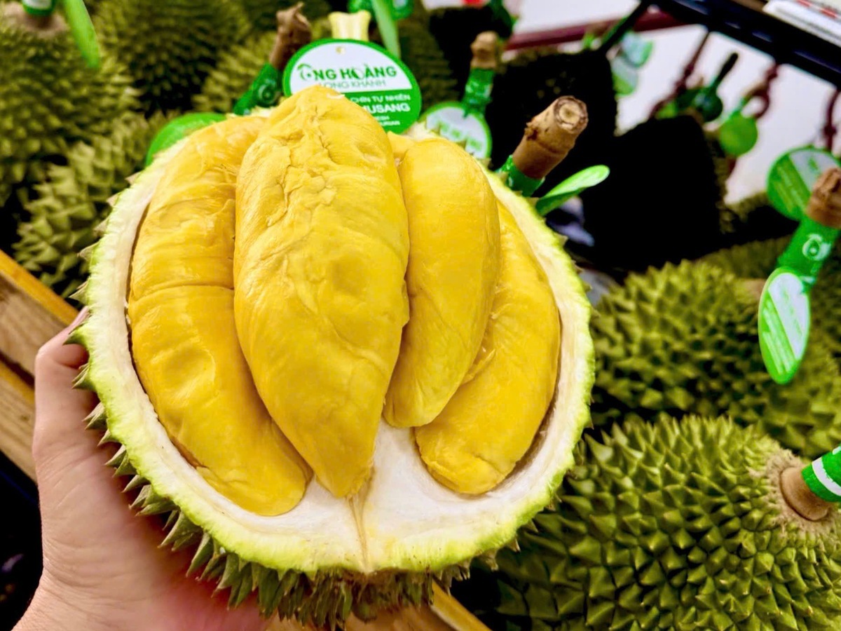 Sầu riêng 50.000 đồng/kg vẫn khó bán, loại nửa triệu đồng/kg lại ‘cháy hàng’