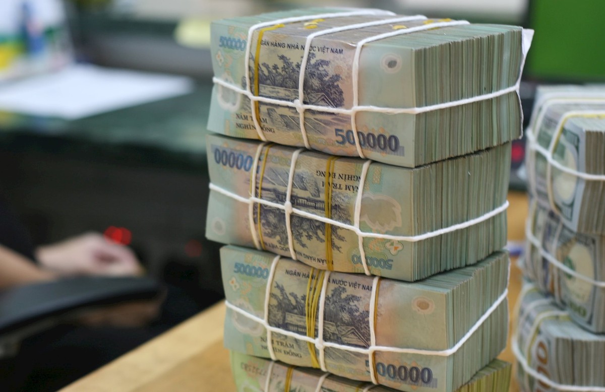 Ngân hàng trả cổ tức tiền mặt cao nhất năm 2026 sẽ lăn chốt vào tuần tới
