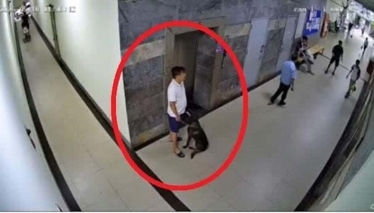 Chủ tịch Hà Nội Vũ Đại Thắng nhận thêm nhiệm vụ mới - Ảnh 2