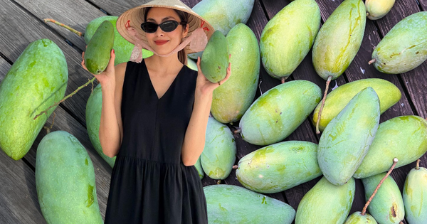 Giải bài toán mùa vụ, Bãi Cháy vươn mình thành thủ phủ du lịch 4 mùa - Ảnh 7