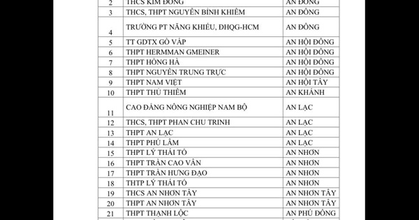 Vì sao TPHCM đồng ý cấp sổ hồng chỗ đậu ô tô ở chung cư Him Lam Riverside? - Ảnh 3