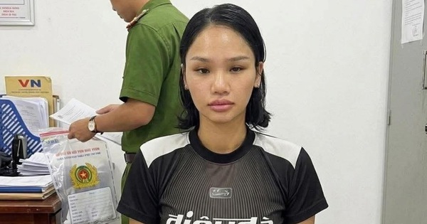 Thị trưởng Mỹ Arcadia Eileen Wang thừa nhận làm gián điệp cho Trung Quốc - Ảnh 3