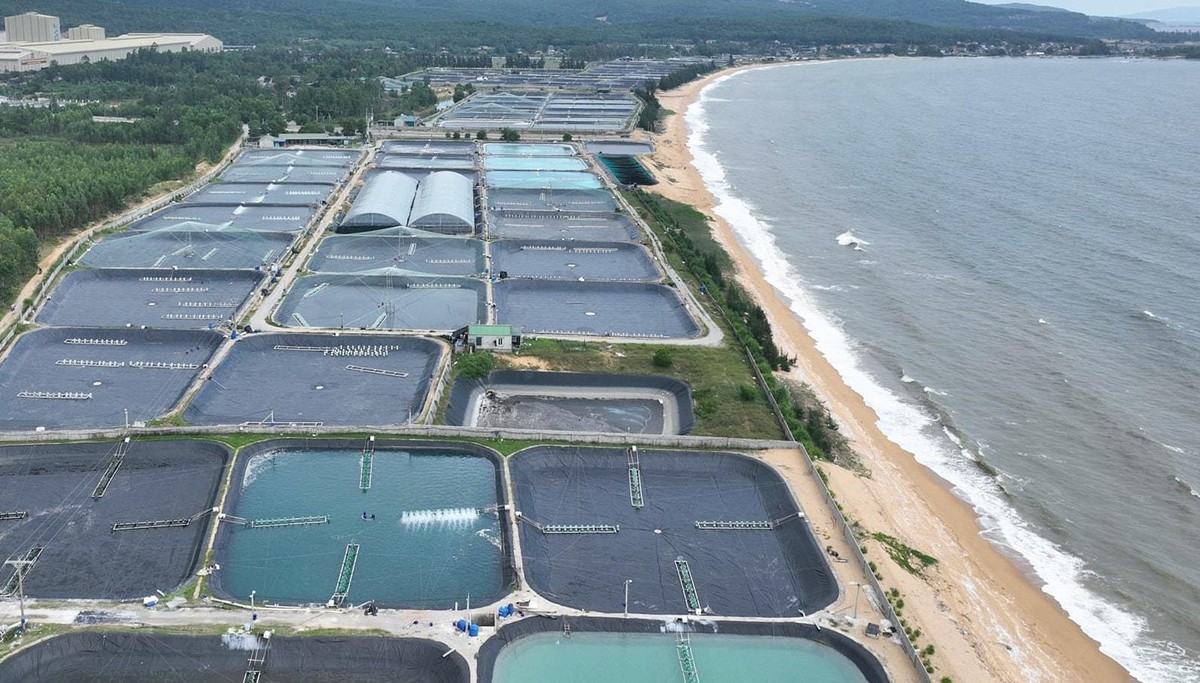 Sở hữu đường bờ biển dài 82km nhưng chưa được kích hoạt hết tiềm năng, loạt 'ông lớn' đề xuất đầu tư cảng biển tại một tỉnh miền Trung, cạnh tranh cùng Nghi Sơn, Vũng Áng