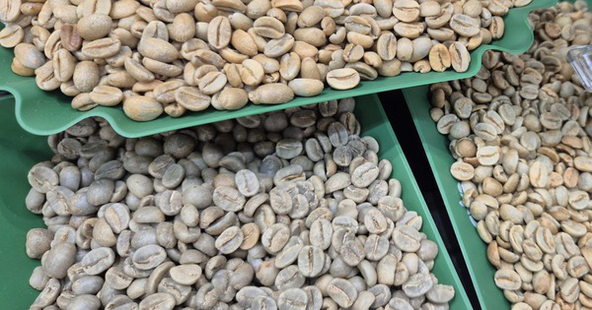 Giá cà phê hôm nay 14-5: Robusta tăng mạnh