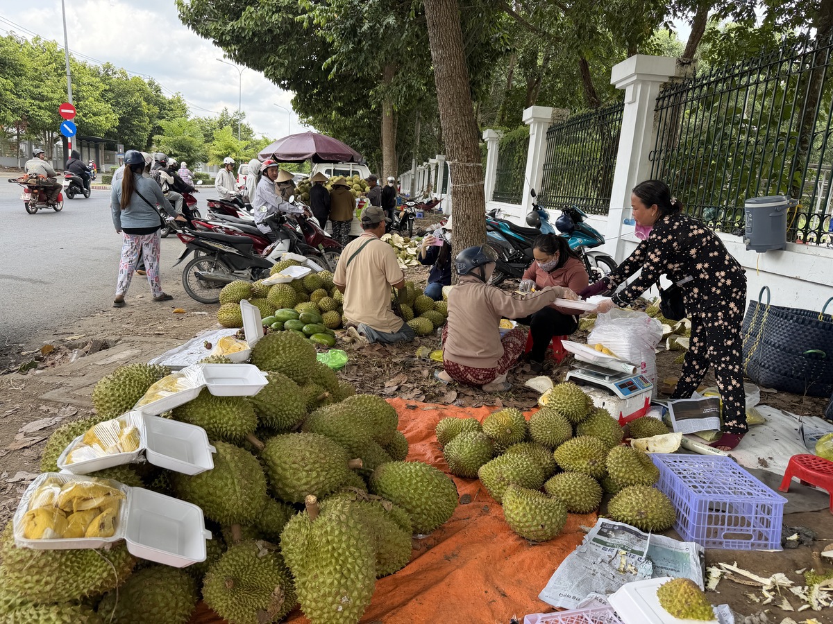 Cận cảnh thiết kế nút giao 'hoa thị' kết nối cầu Tứ Liên với Đại lộ sông Hồng - Ảnh 7