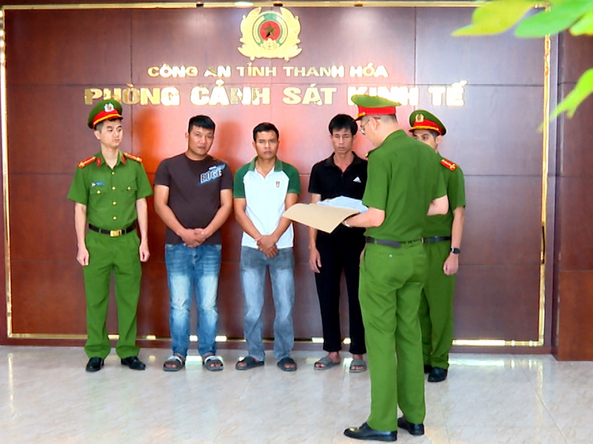 Mua bán lợn nhiễm tả châu Phi về giết mổ bán ra thị trường, 3 người bị khởi tố