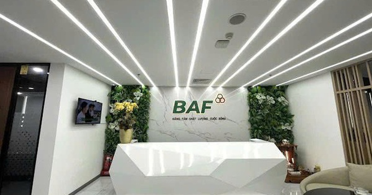 Baf Việt Nam nhận chuyển nhượng 25% vốn góp một doanh nghiệp chăn nuôi tại Gia Lai