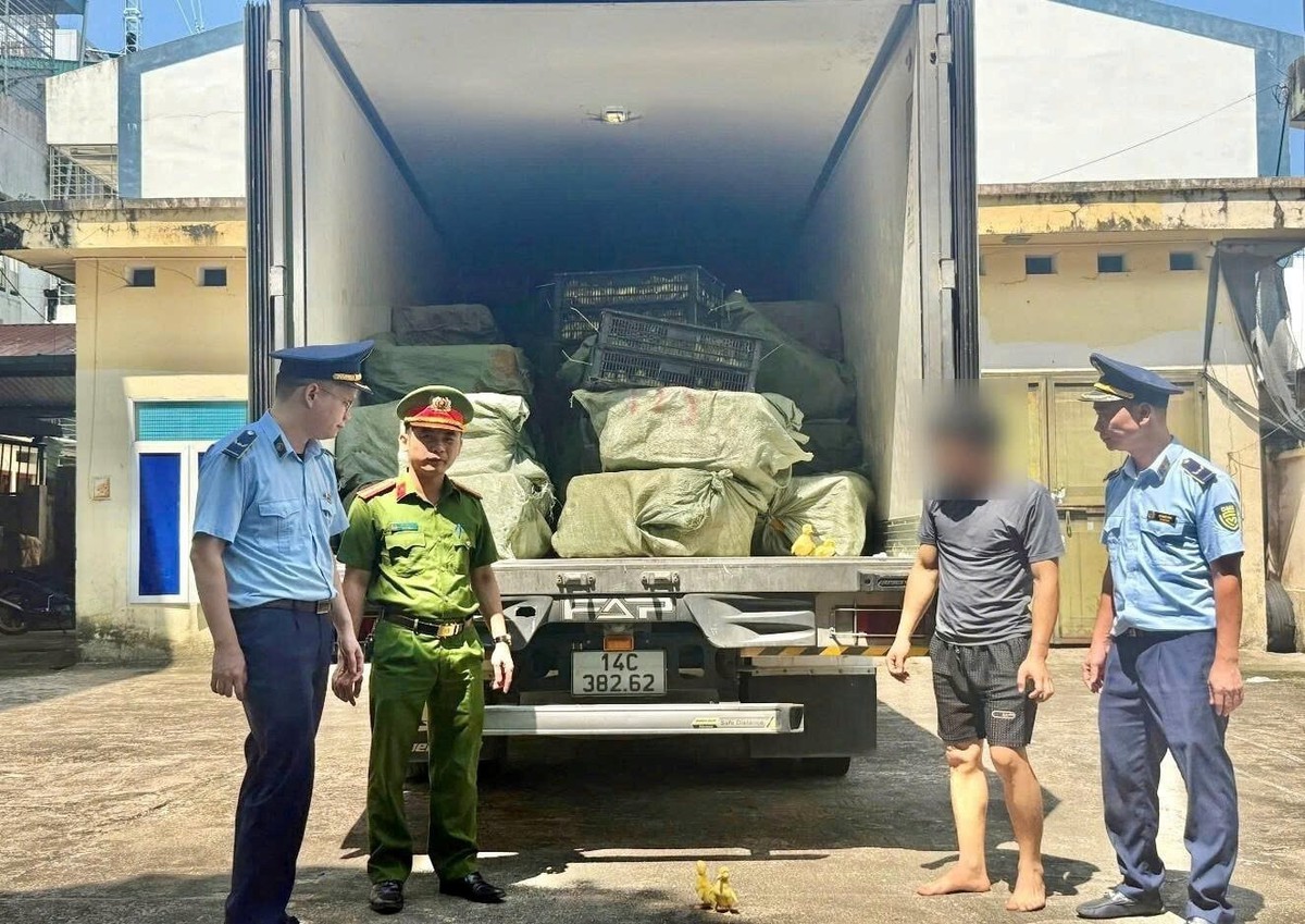 Phát hiện xe tải màu xám lạ, công an Việt Nam lập tức theo dõi giám sát